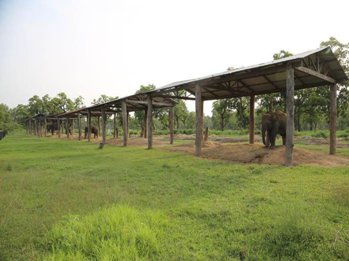 Hotel Royal Safari 사우라하 외부 사진